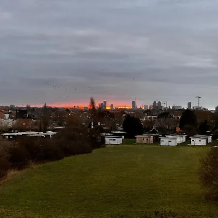 Atlantisiris De Haan